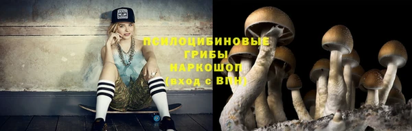 твердый Няндома