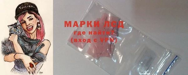 индика Новодвинск