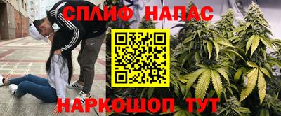 крисы Заводоуковск