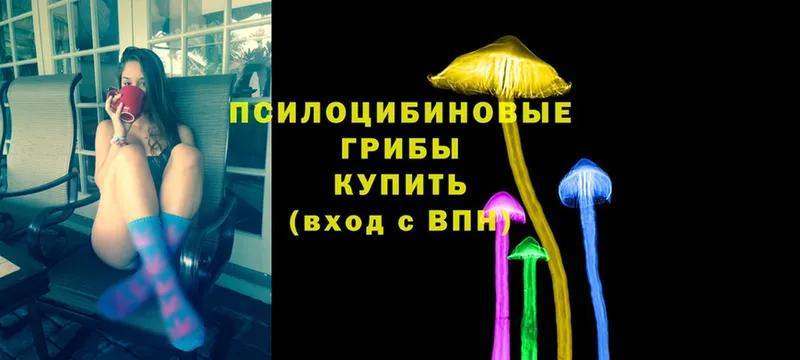 Галлюциногенные грибы Psilocybe  Россошь 