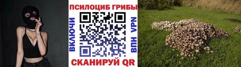 Галлюциногенные грибы Psilocybine cubensis  Россошь 
