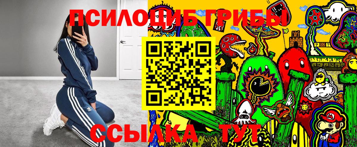Галлюциногенные грибы Magic Shrooms Россошь