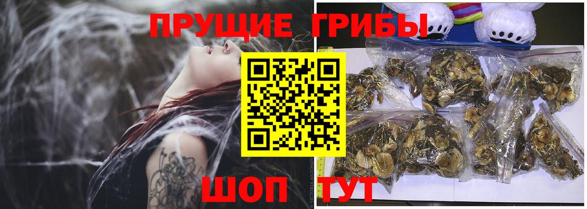 Галлюциногенные грибы Psilocybe  как найти закладки  Россошь 