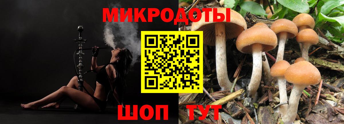 Псилоцибиновые грибы мухоморы  Вход с VPN  Россошь 